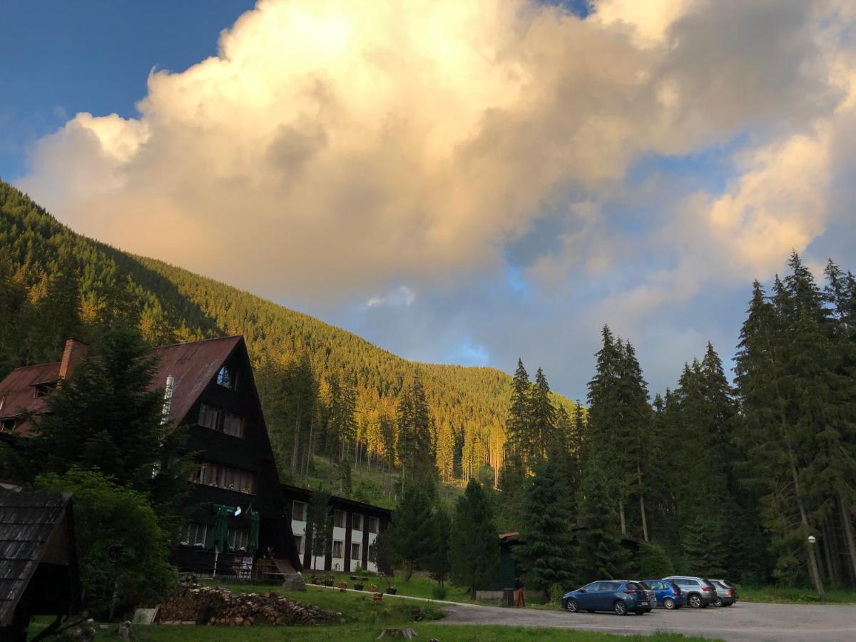 Horska Chata Primula - 1000 M Nad Morom Zuberec Exteriér fotografie