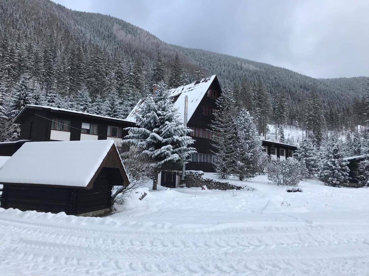 Horska Chata Primula - 1000 M Nad Morom Zuberec Exteriér fotografie